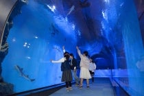 【春日井・瀬戸発】*日帰り昼食付*活かに約2.5杯使用! 『越前活かに会席』3